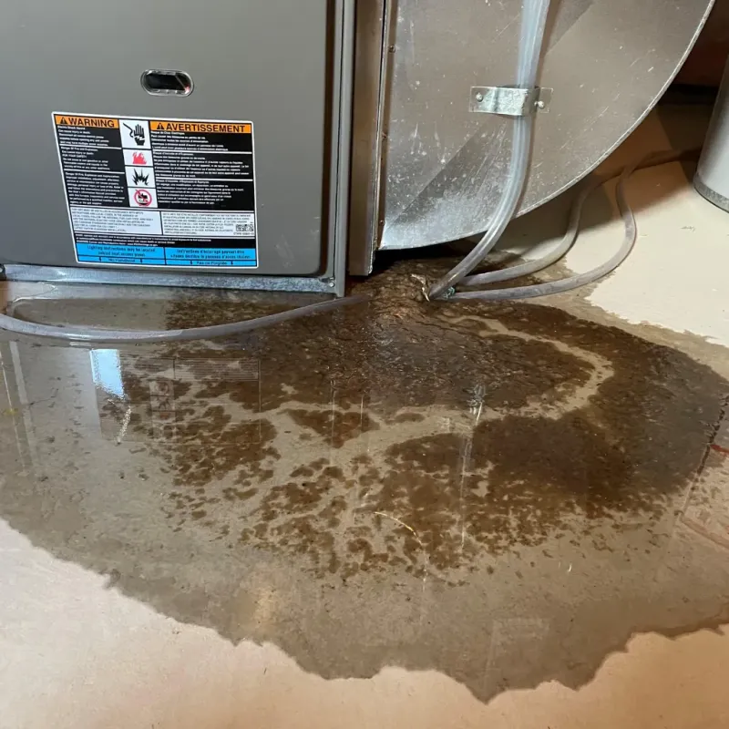 Appliance Leak Cleanup in Stewart County, GA